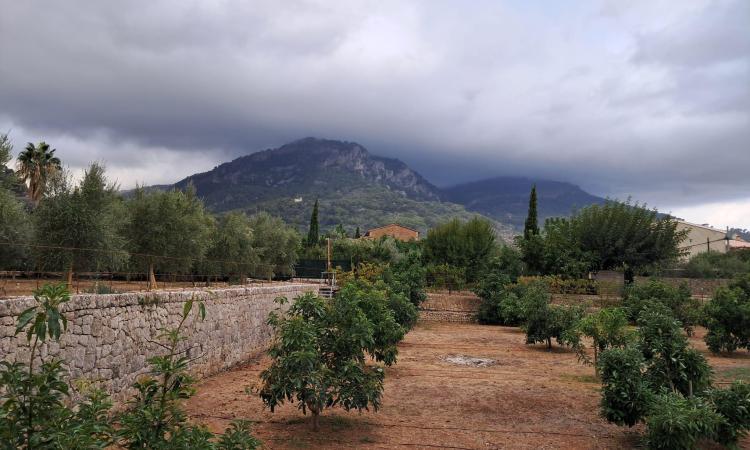 La pluja d'aquesta nit deixa 14,3 litres a Sóller