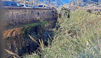 Cap empresa opta a fer la zona verda a sa Torrentera