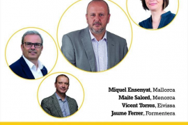 Consellers insulars.