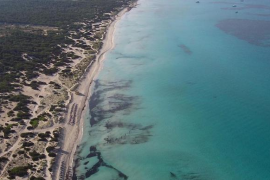 El GOB denuncia la «irresponsabilitat» de l’Ajuntament de Campos en el manteniment d’es Trenc