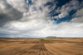 GOB. Pla de Vilafranca, una de les noves ZEPAs en tramitació