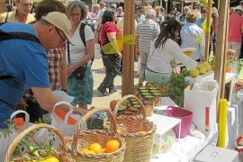Arriba la Fira de la Taronja en plena renovació de molts horts de la Vall