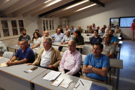 La Cooperativa anuncia una nova resembra de tarongers en tres anys