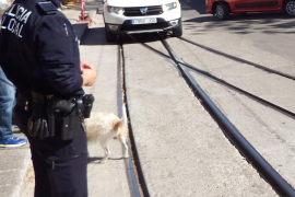 La negociació «obri la porta» a la millora salarial dels policies