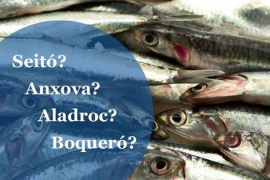 Publiquen un nou volum de l’'Atles lingüístic del domini català'