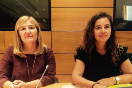 El Govern demana més pressupost per a l'atenció a víctimes de violència masclista