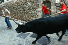 El clàssic format del correbou de Fornalutx passa a la història