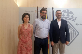 Cort suspèn l’aprovació de llicències urbanístiques per a ús turístic durant un any 