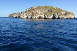 Les Malgrats es mantenen lliures de rates