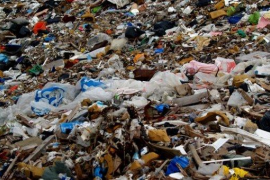 EL Pi demana «celeritat» i «accions concretes» pel que fa a la importació de fems