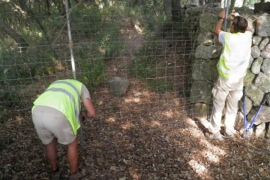 El Consell reobre la carretera vella de Lluc a Pollença 