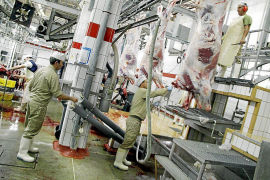 Cort revisa les subvencions atorgades a l'empresa Escorxador i Serveis Carnis de Palma