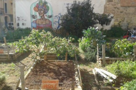 Podem Palma expressa el seu suport al projecte autogestionat del Jardí d’Epicur