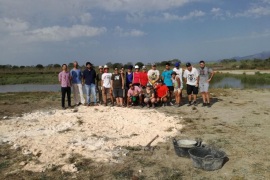 Un grup de joves realitzen tasques de conservació i nidificació a l'Albufera 