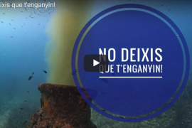 [VÍDEO] És mereixedora la platja de Can Pere Antoni d'una bandera blava?