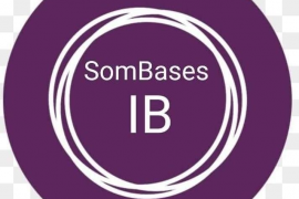 Podem vol formar el partit «des de les bases»