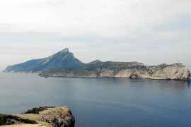 Les poblacions de peixos de la Dragonera donen senyals de recuperació  