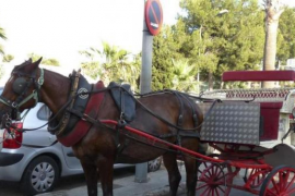 EUIB demana la retirada de les llicències a les galeres que no paguin les sancions