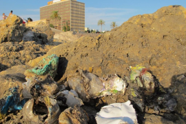 El GOB denuncia l’abocament de deixalles al port de Palma 