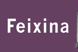 Cort presenta al·legacions a la suspensió de l’esbucament de Sa Feixina