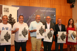 Consell de Mallorca