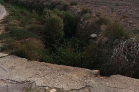 Torrent de Sineu | PP Sineu