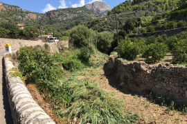 El Govern realitza actuacions als torrents de Sóller i Fornalutx