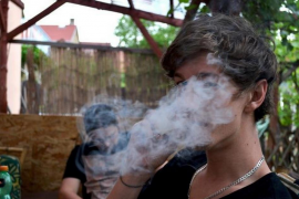 Catalunya regula el consum, subministrament i cultiu de marihuana amb una llei pionera 