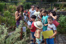 Una activitat didàctica recent al Jardí Botànic.