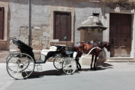 Cort estudia limitar l'horari de feina dels cavalls de les galeres