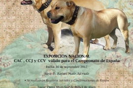 Alaró acollirà la XXVI Monogràfica del Ca de Bou