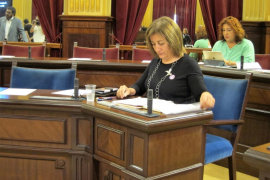 Tur acusa el PP de fer al Parlament «el mateix que al carrer», són «'hooligans' polítics»