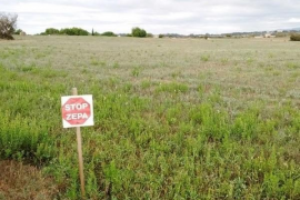 El GOB anima al Govern a seguir avançant en polítiques de protecció animal 