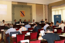 El Parlament acull el ple de l'Assemblea Balear de l'Esport