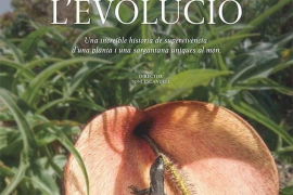 'Nàufrags de l'evolució': millor film europeu en un festival de Nova York