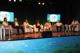 El 'Festival Save Posidònia' apadrina 90.000 metres quadrats de posidònia