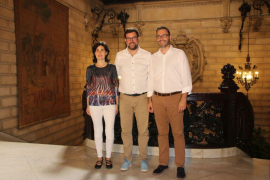 Cort presenta el projecte de les Torres del Temple, el Bosc de Bellver i el Torrent dels Jueus