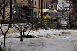 Ensenyat: «L'Estat dóna l'esquena als ajuntaments i per tant, a molts de mallorquins»  