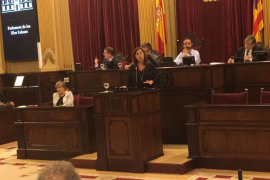 El Govern oferirà feina i autonomia a les dones víctimes per violència masclista 