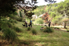 El GOB celebra la declaració d'un nou refugi de fauna a Bunyola 