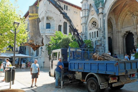 L'arbrat públic de Sóller està malalt però no s'ha trobat Xylella