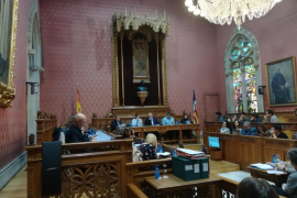 El Consell aprova els pressupostos «més socials» de la història de la institució 