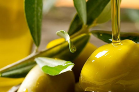 Josep Vilaseca, ‘tafoner major' de l'oli de Mallorca