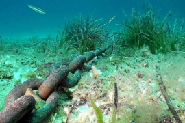 Amics de la Terra valora la iniciativa de «posar ordre» en el control del fondeig 