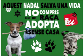 Imatge de la campanya 'Aquest Nadal salva una vida' d'EUIB.