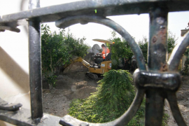 Tur: «La democràcia serà incompleta mentre hi hagi morts en cunetes i fosses comunes»