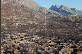 L'incendi de Pollença fou provocat pel mal estat d'un cable d'una torre d'alta tensió