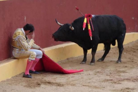 El Parlament fa la passa definitiva per acabar amb la tauromàquia a Balears