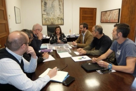 Consell i Cort demanaran que s'analitzi l'impacte de les torres de Son Puig