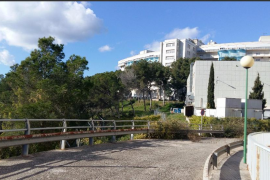 Un corredor verd connectarà el bosc de Bellver amb Son Dureta